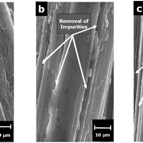 Scanning Electron Micrographs Of A Raw Fibre B 10 Naoh Treated