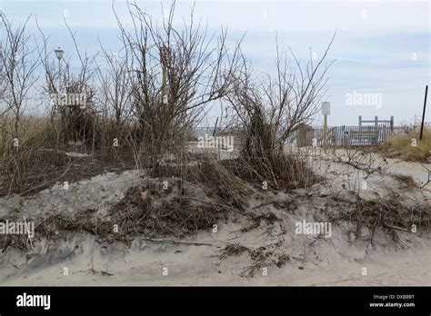 Dunes on beach Stock Photo - Alamy