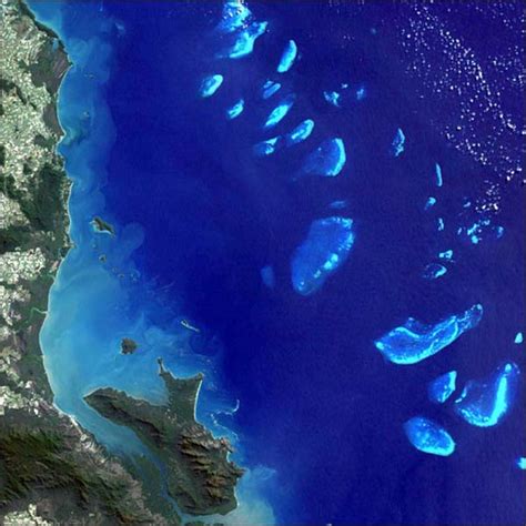 Great Barrier Reef: Facts, Location & Animals | Live Science