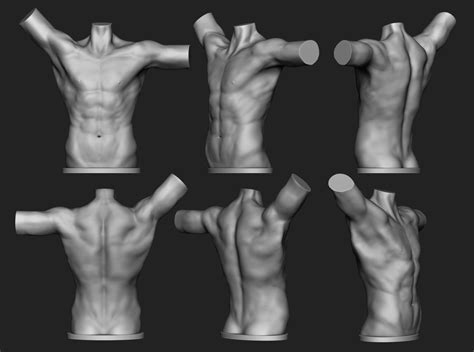 Male Torso 3D Model 3D Printable CGTrader