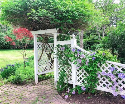 Garden Décor Ideas for a Lattice Fence - Soul & Lane