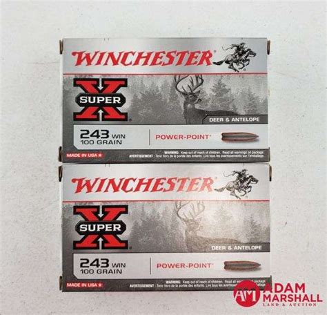 Winchester Super X Power Point 243 Win 100 Gr 2 X 20 Adam