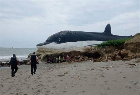 Posorja Un niño muere tras el colapso de un muro en playa Delfín Centro