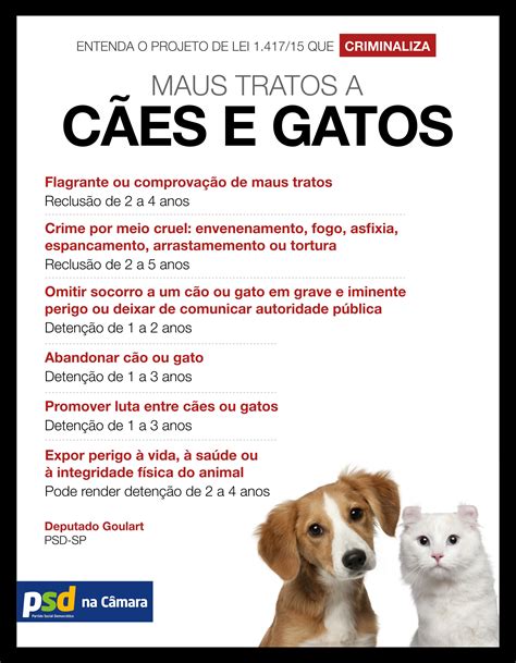 Abandono Caes E Gatos Psd C Mara Dos Deputados