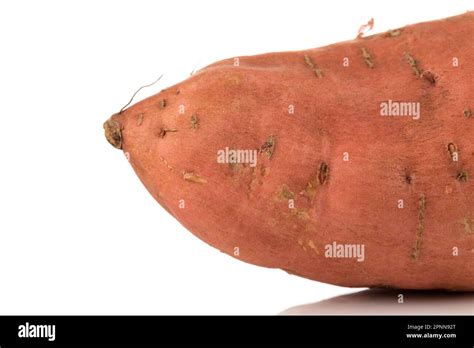 Sweet Potato Batata On The White Background Isolated Stock Photo Alamy