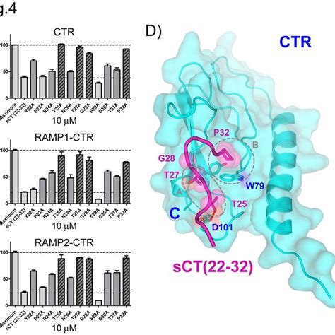 (PDF) Calcitonin and Amylin Receptor Peptide Interaction Mechanisms ...