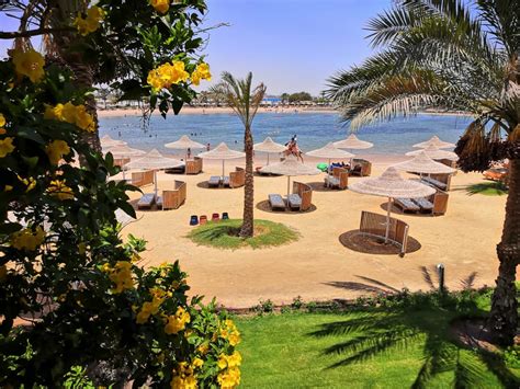 Strand Desert Rose Resort Hurghada HolidayCheck Hurghada Safaga