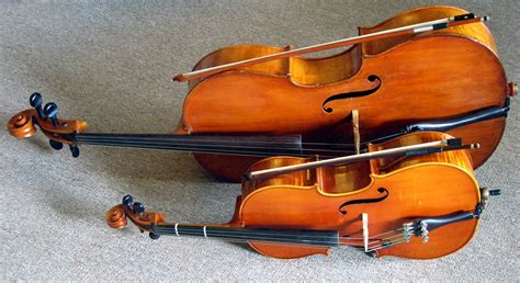 The Complete Cello Sizing Guide