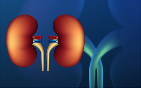 Adrenal disorders Diseases and Treatment | TX Hospitals