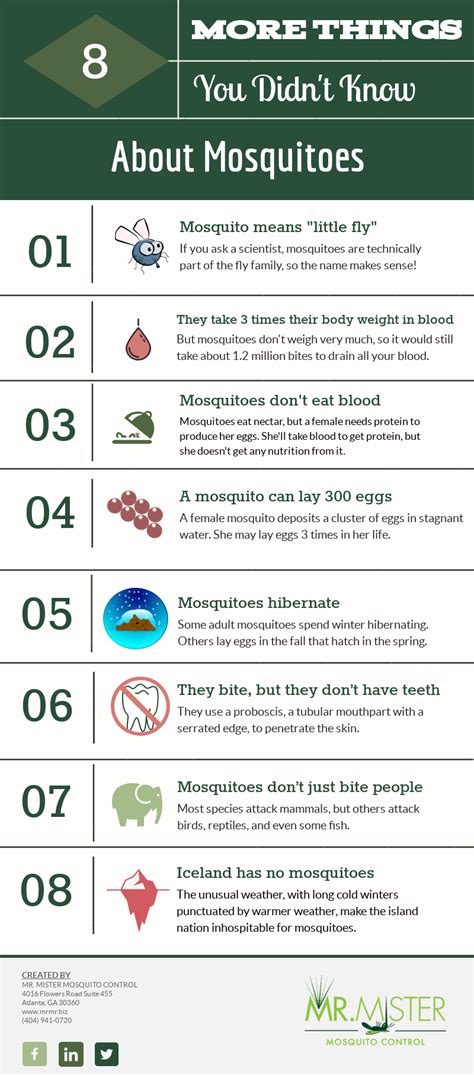 Mosquito Facts Part Two 8 More Things You Didnt Know About