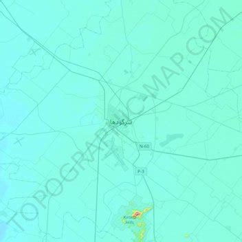 Sargodha topographic map, elevation, relief