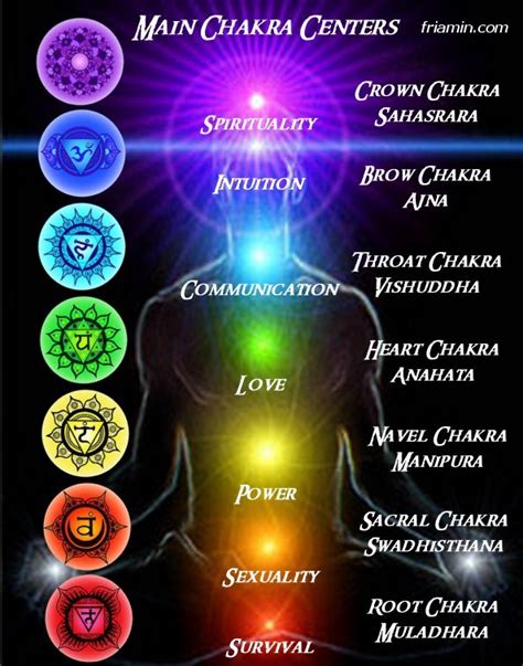 The Human Chakra Centers Meridian Systems Robert Jr Graham