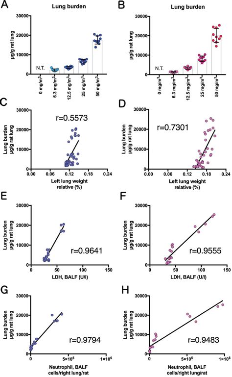 Lung Burden And Correlation Between Lung Burden And Relative Lung