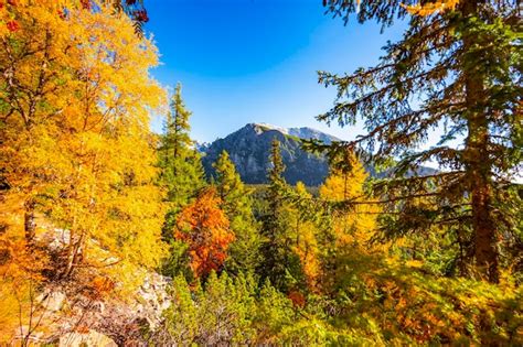 Premium Photo Hiking Strbske Lake To Popradske Lake Very Popular