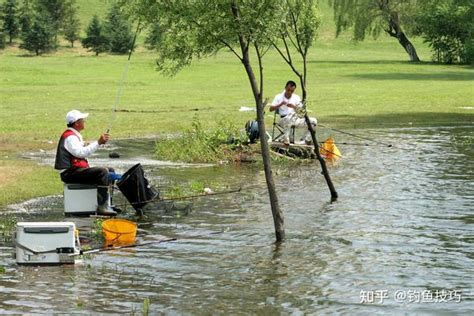 野钓死窝是什么原因？野钓死窝的4个主要原因 知乎