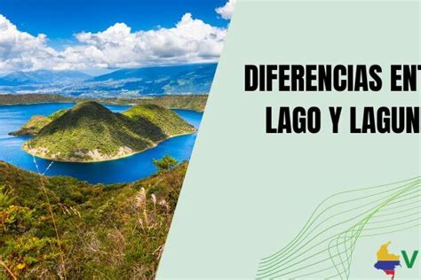 Características e importancia de los manglares Colombia Verde