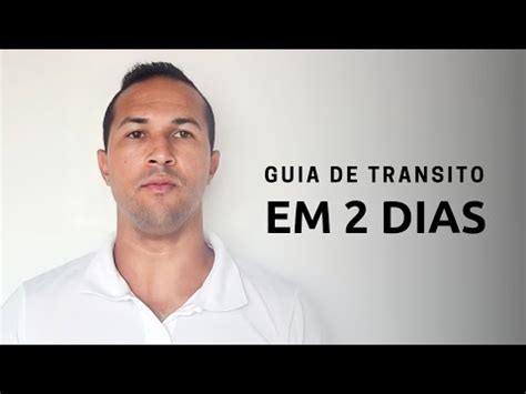 QUANTO TEMPO DEMORA PRA EMITIR A GT GUIA DE TRAFEGO DEFERIDA DE FORMA