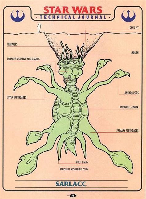 Sarlacc Body