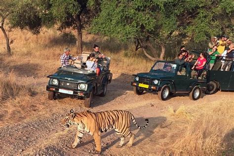 7 Days Private Golden Triangle Ranthambore Tour Includes Hotel Car