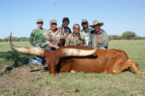 Watusi Hunting Lonesome Bull Ranch