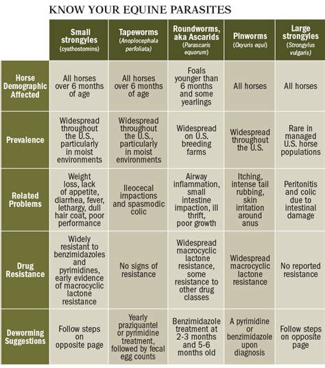 Horse Worming Chart Printable