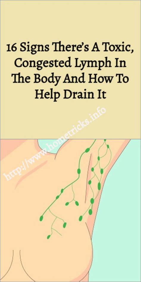 16 Signs Theres A Toxic Congested Lymph In The Body And How To Help