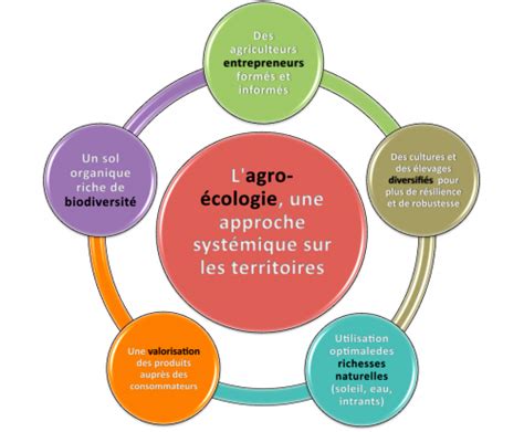 Breuillet Nature L Agro Cologie