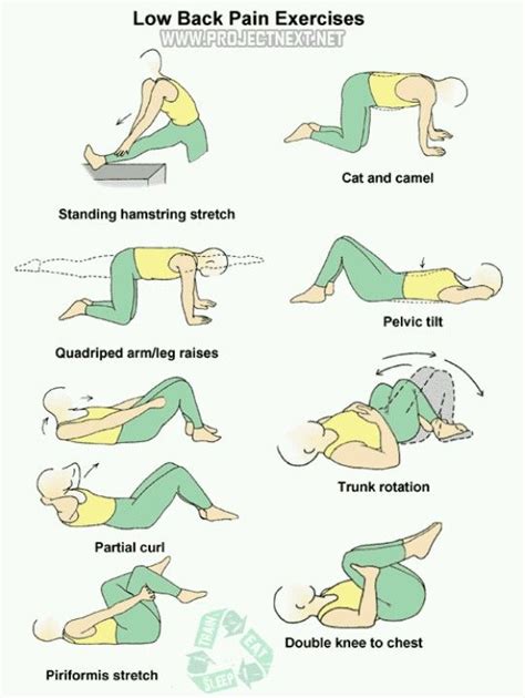 Printable Exercises For Lower Back Pain