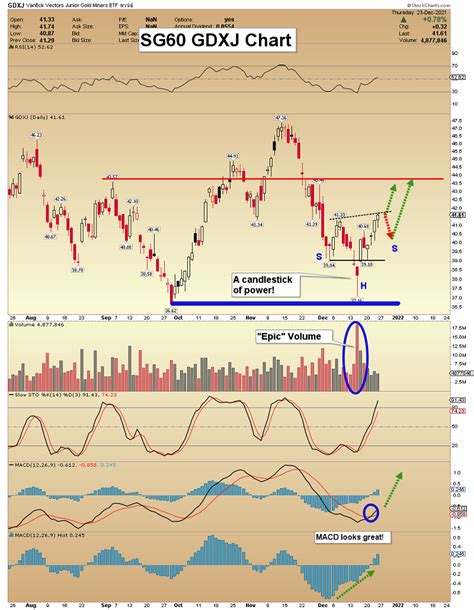 Gold Stocks The Rally Intensifies Gold Eagle