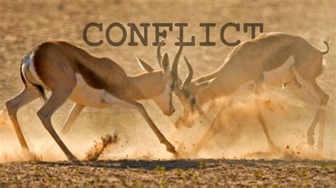 5 Ways to Create Conflict in Your Story - ScreenCraft