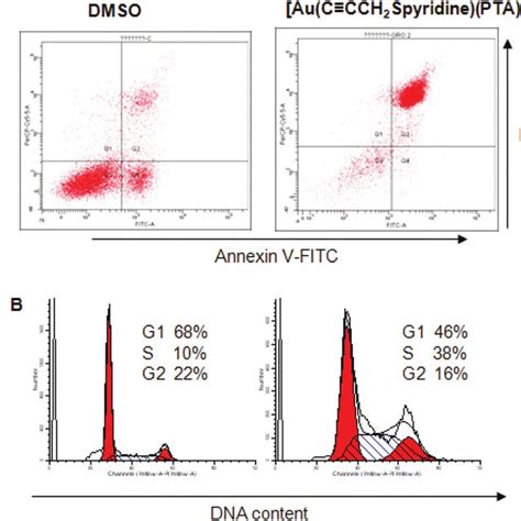 A Cell Cycle Distribution Of Hct Luc Colon Cancer Cells Treated