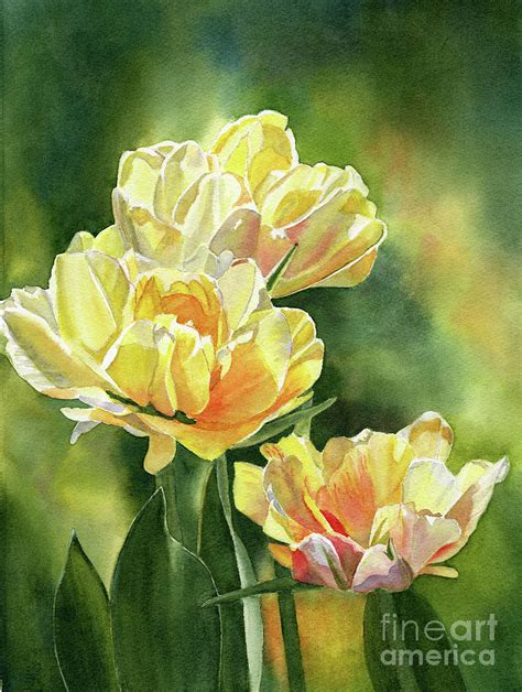 Yellow Double Tulips Painting By Sharon Freeman Fine Art America