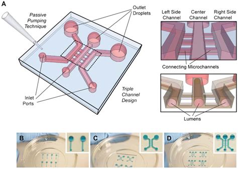 Passive Pumping Based Microfluidic Angiogenesis Assay With D