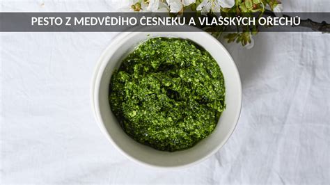 Pesto z medvědího česneku a vlašských ořechů fotografie 11