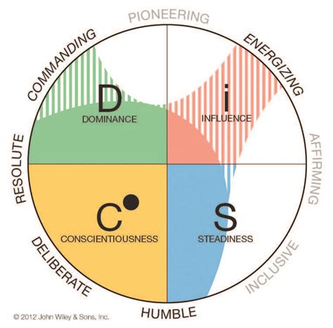 Disc Behavioral Assessment