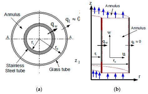 Entropy Free Full Text Thermally Driven Flow Of Water In Partially