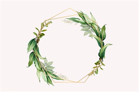 Tropical Botanical Frame Design Illustration Premium Image By