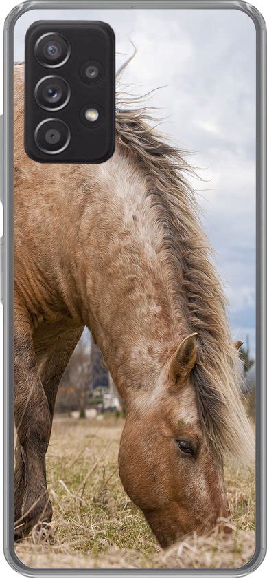 Samsung Galaxy A G Hoesje Grazend Fjord Paard Bij Een Boerderij