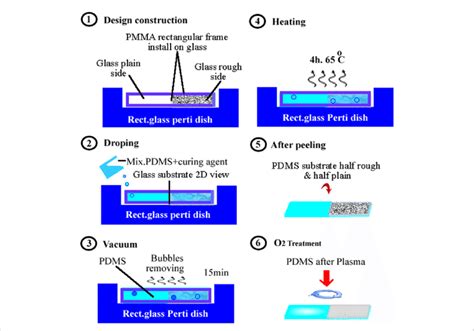 The Fabrication Process Schematic Diagram Of The Pdms Substrate