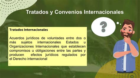 Tratados Y Convenios Internacionalespptx