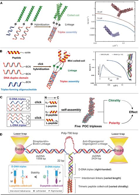 Peptide Dna Conjugates As Building Blocks For De Novo Design Of Hybrid