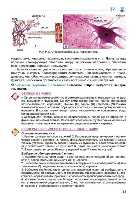 Учебник по биологии 8 класс Матяш Остапченко читать онлайн