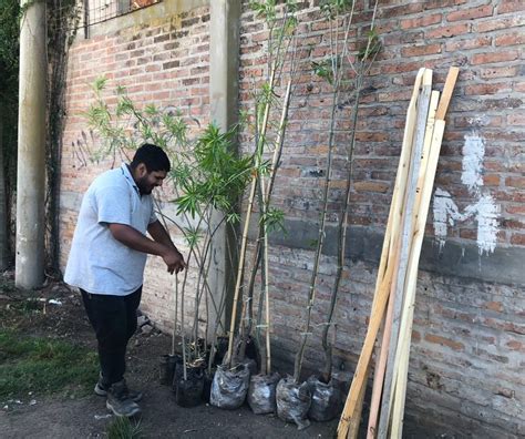 La Municipalidad continúa con la erradicación de basurales en Playa