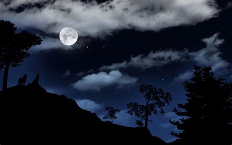 Full Moon Forest Wallpapers - Top Free Full Moon Forest Backgrounds ...