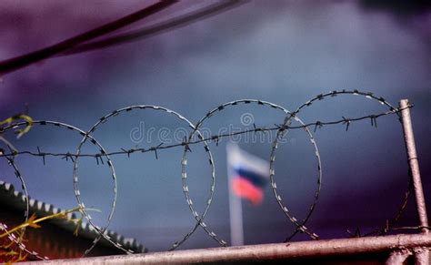 Prison Fence with Barbed Wire Stock Image - Image of addict, high ...