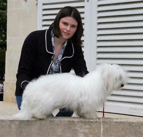 Elevage Des sentiers du perche Amélie Chapon eleveur de chiens Coton