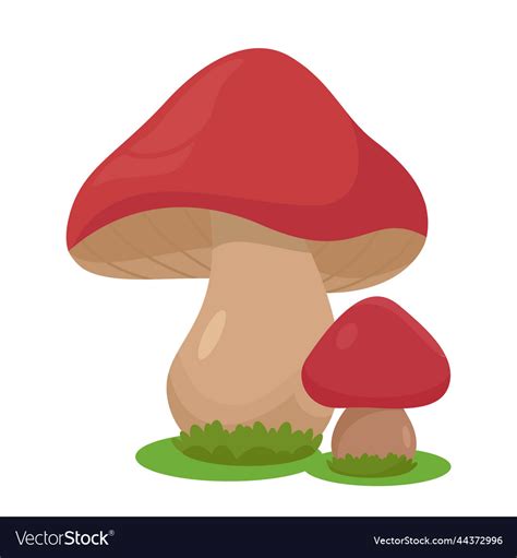 Cute Red Mushrooms Royalty Free Vector Image Vectorstock