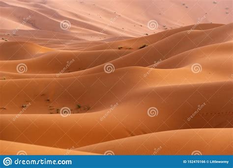 Sahara Desert En Merzouga Marruecos Foto De Archivo Imagen De