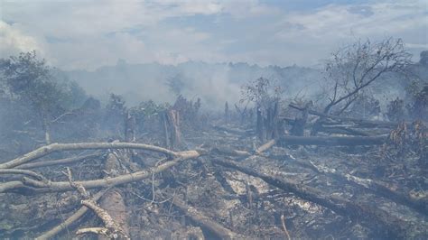 Hektare Lebih Lahan Gambut Di Aceh Jaya Terbakar