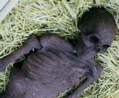 Halloween Props and Special Effects - Make a Rotting Corpse